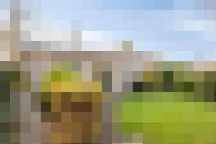 Korte Enkweg 5 Epe foto 3