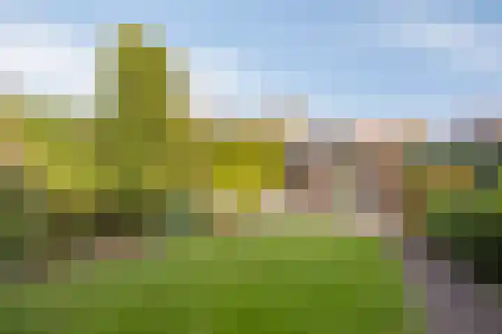 Korte Enkweg 5 Epe thumbnail 30