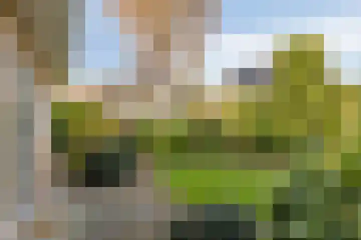 Korte Enkweg 5 Epe thumbnail 31