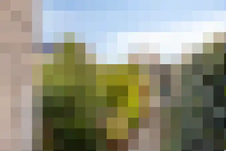 Korte Enkweg 5 Epe thumbnail 32