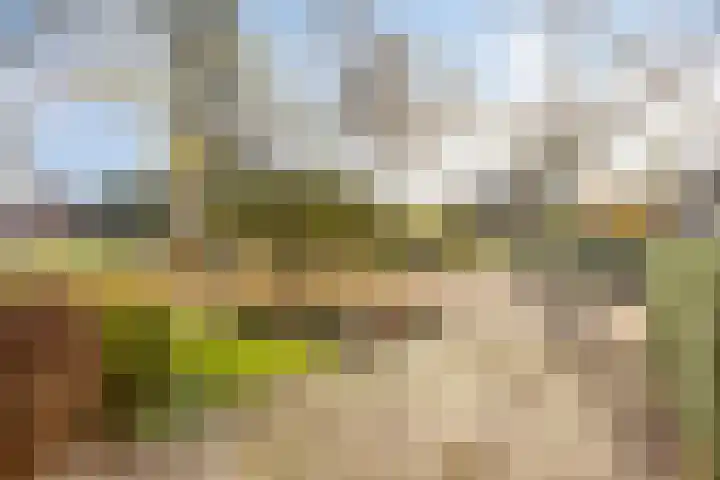 Korte Enkweg 5 Epe thumbnail 35