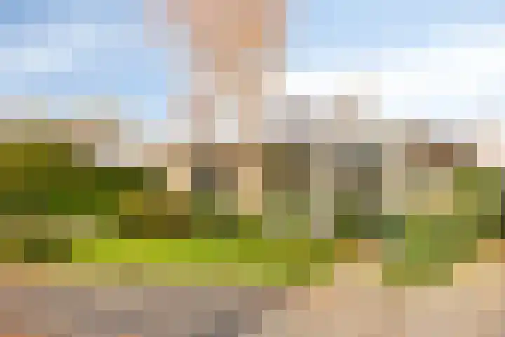 Korte Enkweg 5 Epe thumbnail 36