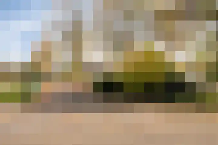 Korte Enkweg 5 Epe thumbnail 4