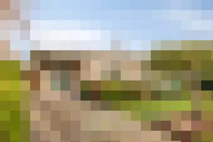 Korte Enkweg 5 Epe thumbnail 5