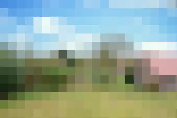 Korte Erikaweg 2 Uden thumbnail 11