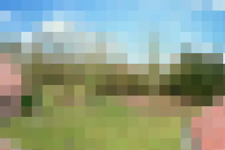 Korte Erikaweg 2 Uden thumbnail 12