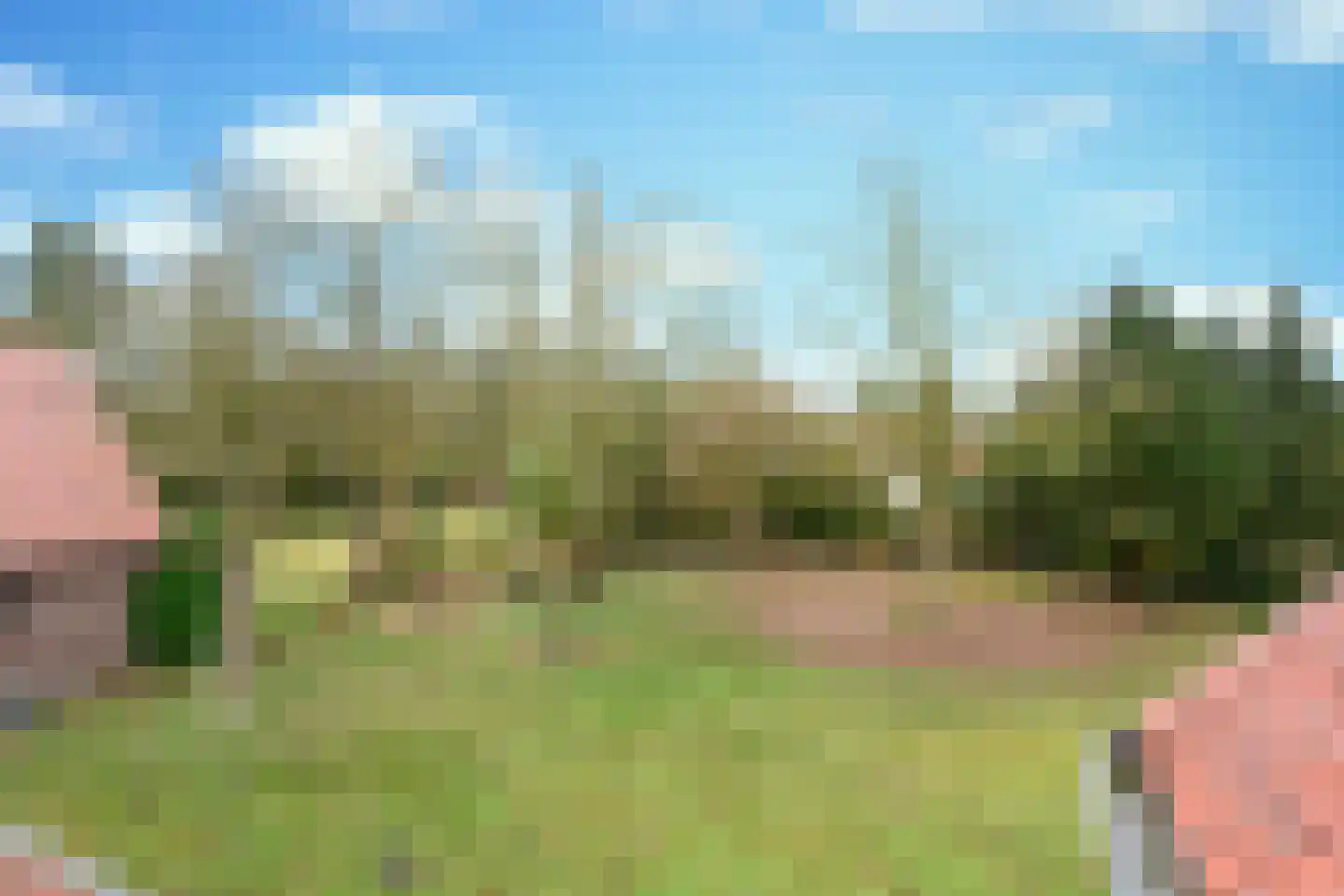 Korte Erikaweg 2 Uden thumbnail 12