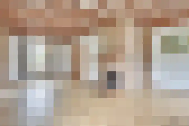 Korte Erikaweg 2 Uden thumbnail 15