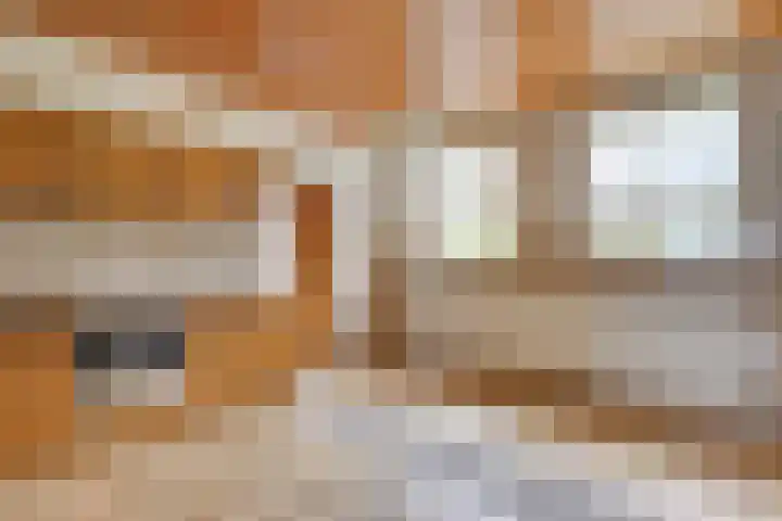 Korte Erikaweg 2 Uden thumbnail 18