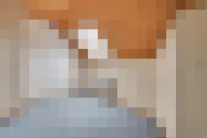 Korte Erikaweg 2 Uden thumbnail 25