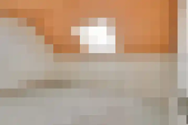 Korte Erikaweg 2 Uden thumbnail 26