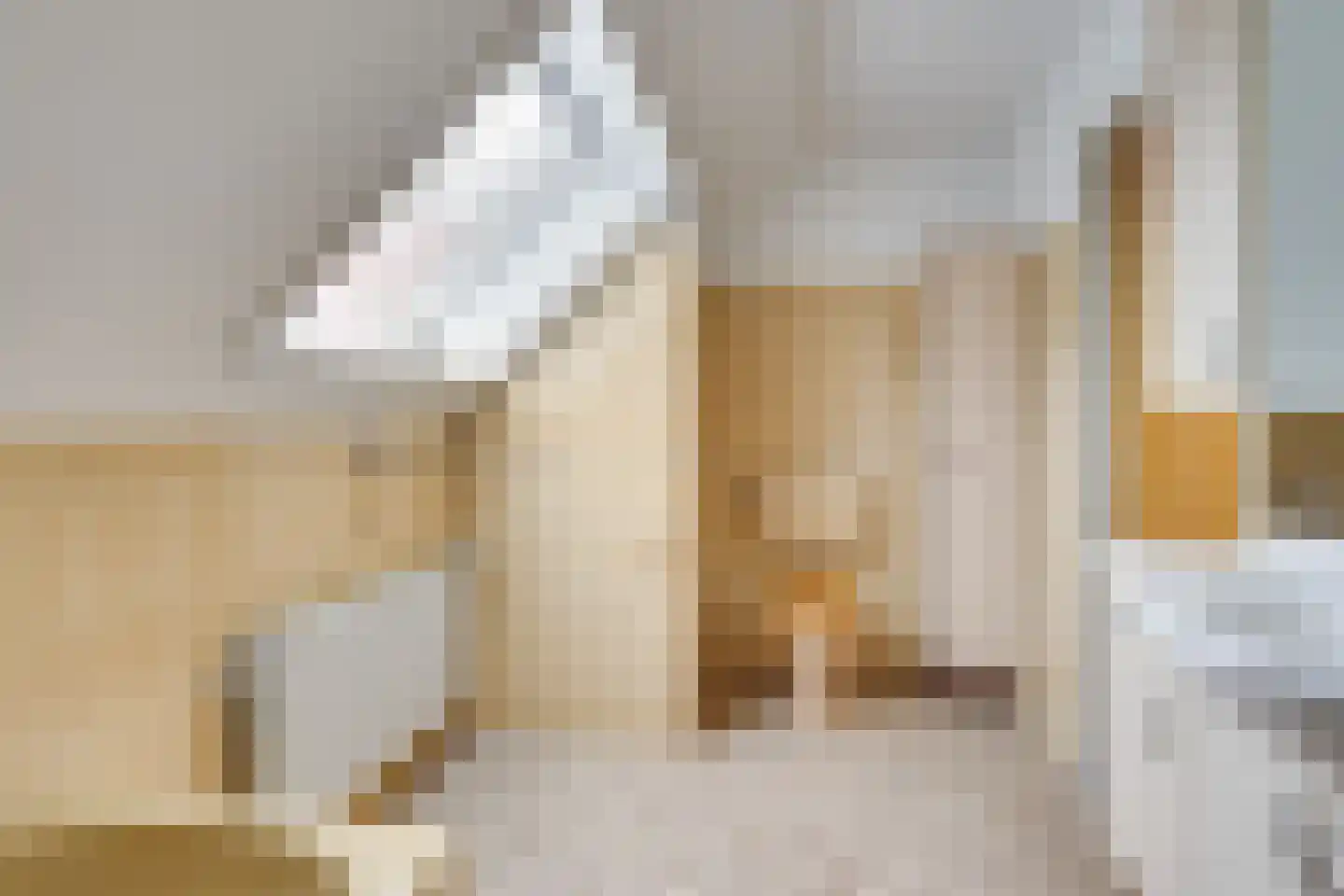 Korte Erikaweg 2 Uden thumbnail 28