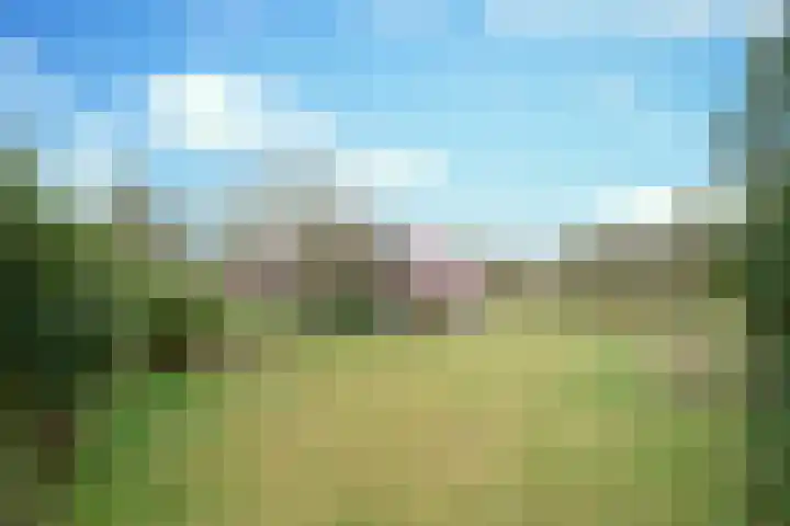 Korte Erikaweg 2 Uden thumbnail 4
