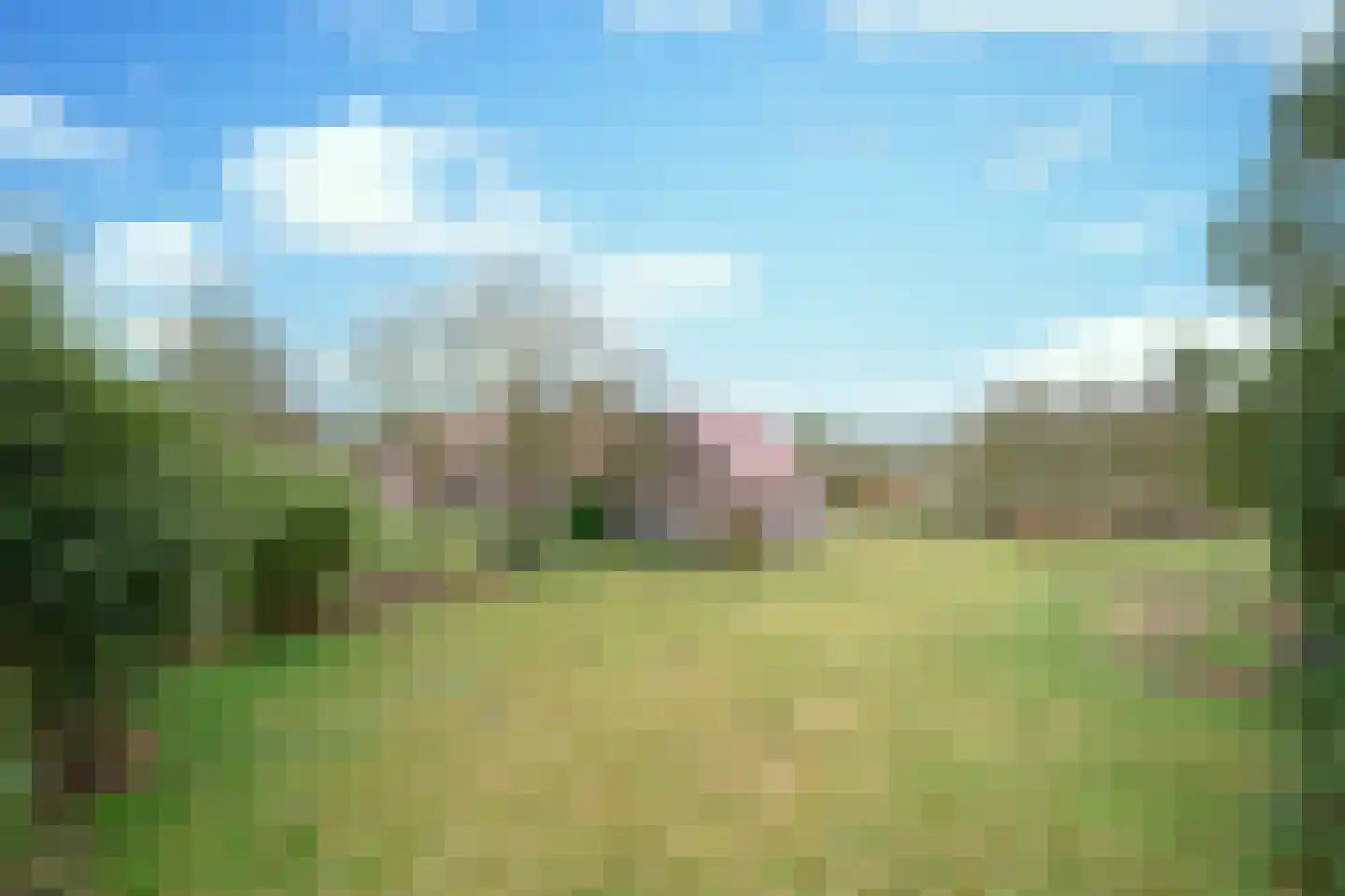 Korte Erikaweg 2 Uden thumbnail 4
