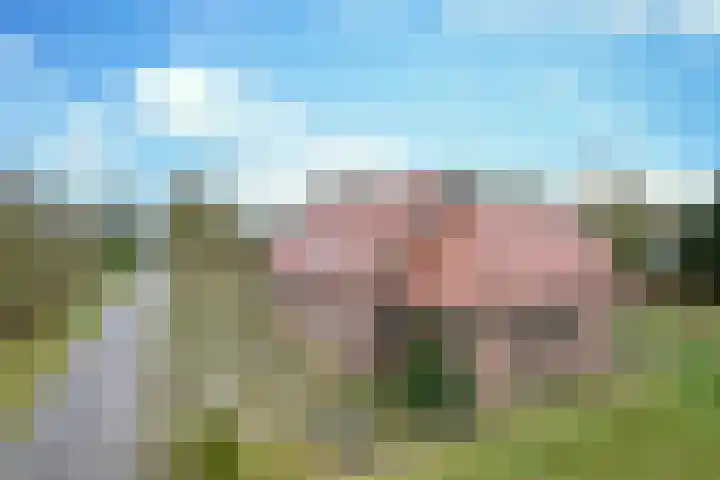 Korte Erikaweg 2 Uden thumbnail 5