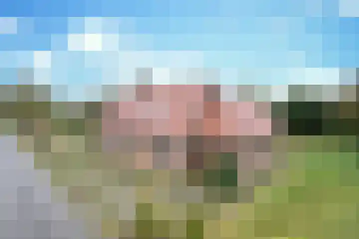 Korte Erikaweg 2 Uden thumbnail 6