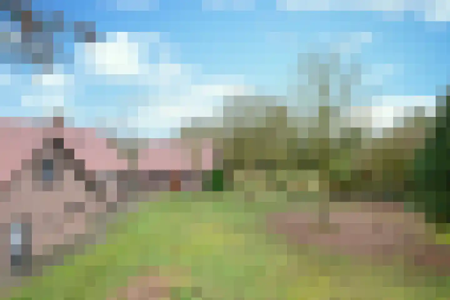 Korte Erikaweg 2 Uden thumbnail 9