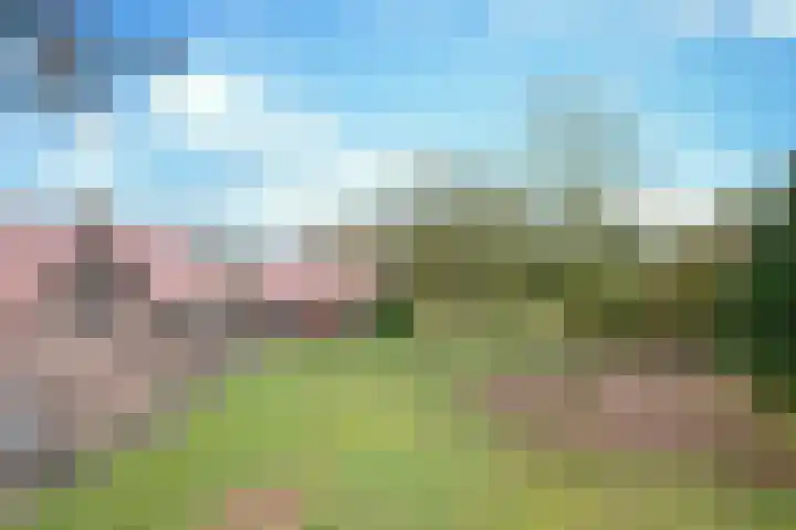Korte Erikaweg 2 Uden thumbnail 9