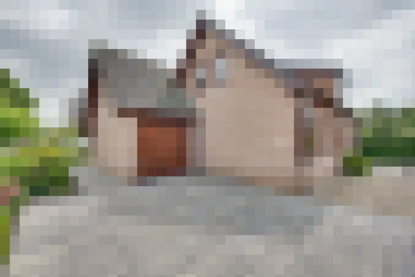 Korte gang 2 Werkendam thumbnail 4