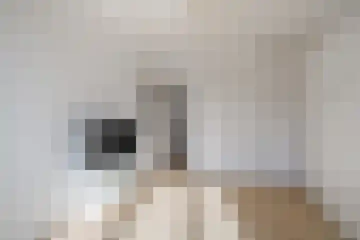 Korte Geuzenstraat 305 Amsterdam thumbnail 8