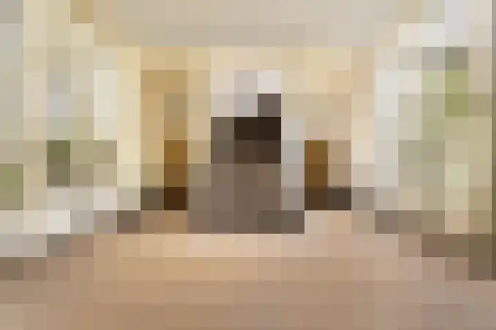 Korte Geuzenstraat 311 Amsterdam thumbnail 20