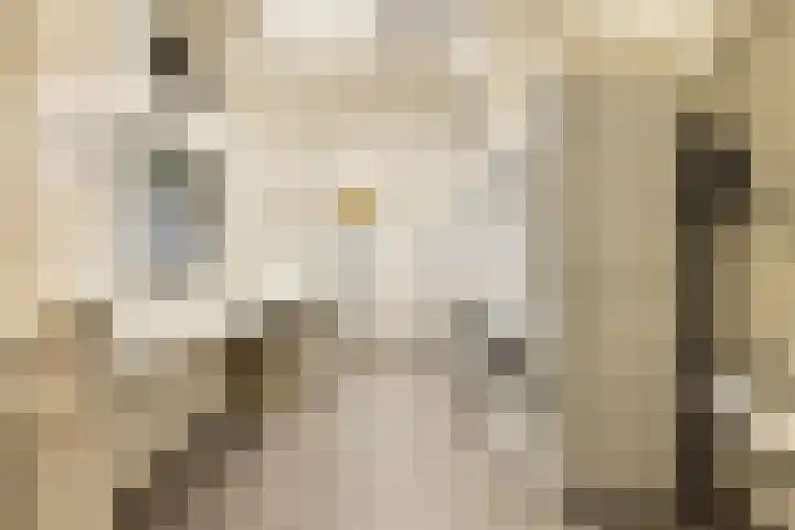 Korte Geuzenstraat 311 Amsterdam thumbnail 22