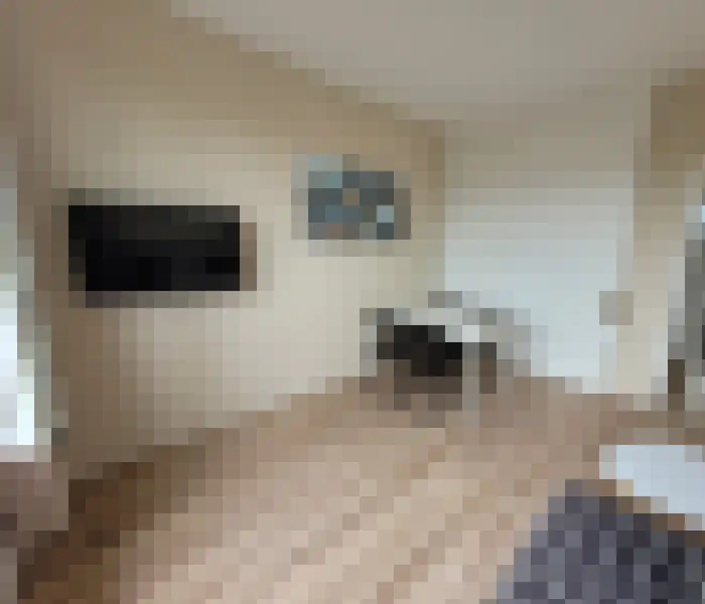 Korte Geuzenstraat 510 Amsterdam thumbnail 6