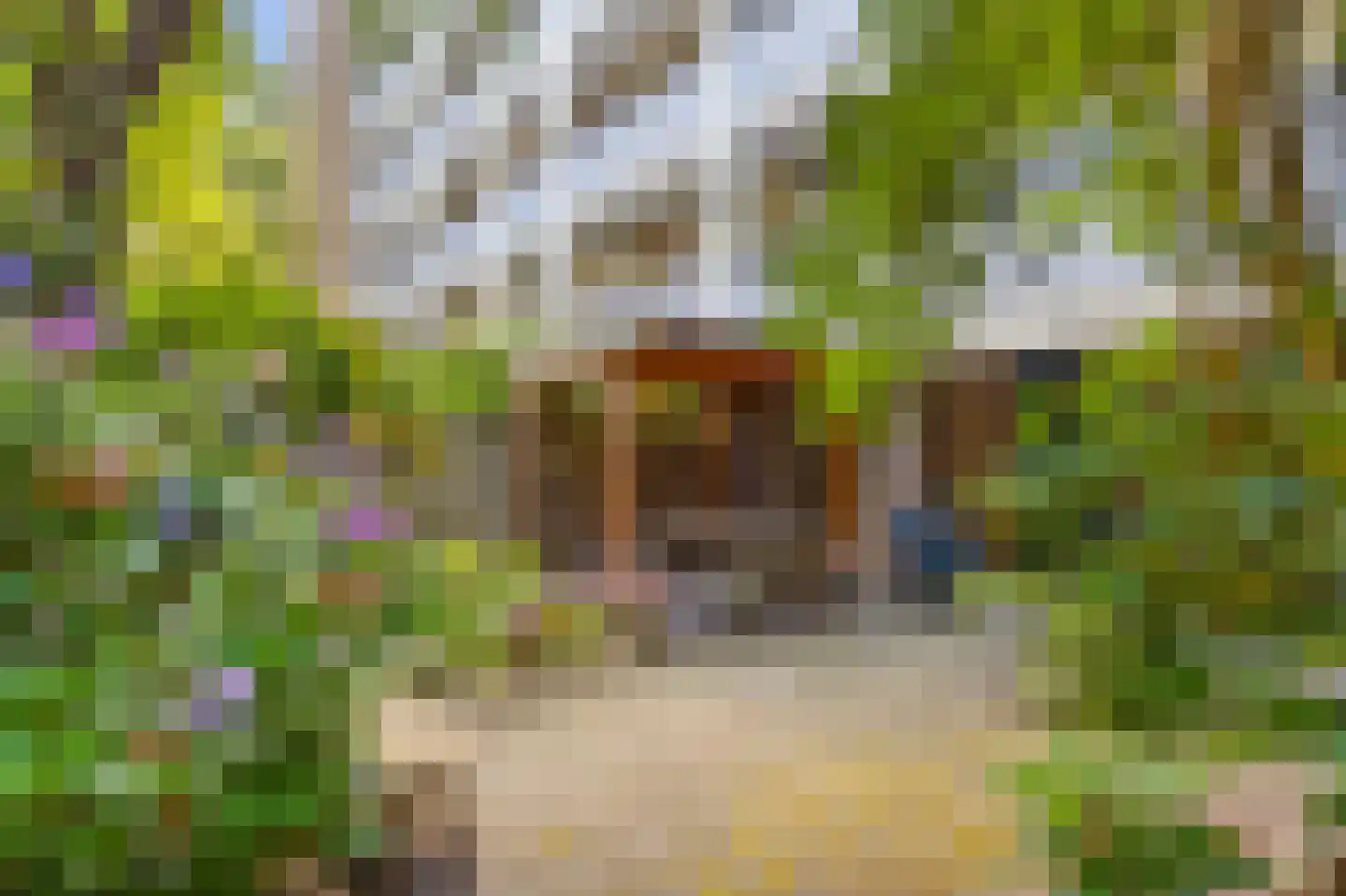 Korte Geuzenstraat 700 Amsterdam thumbnail 9