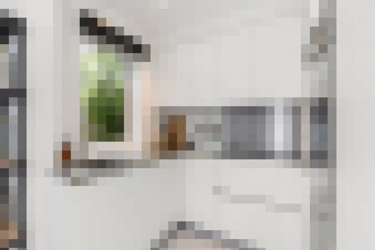 Korte Geuzenstraat 98 Amsterdam thumbnail 10