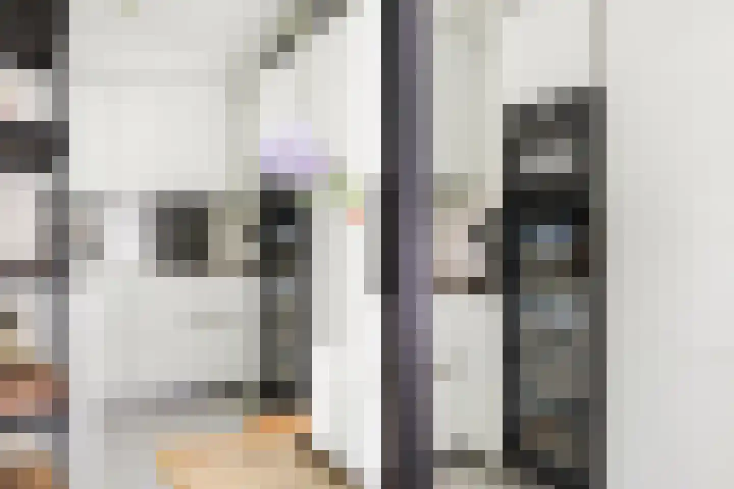 Korte Geuzenstraat 98 Amsterdam thumbnail 11