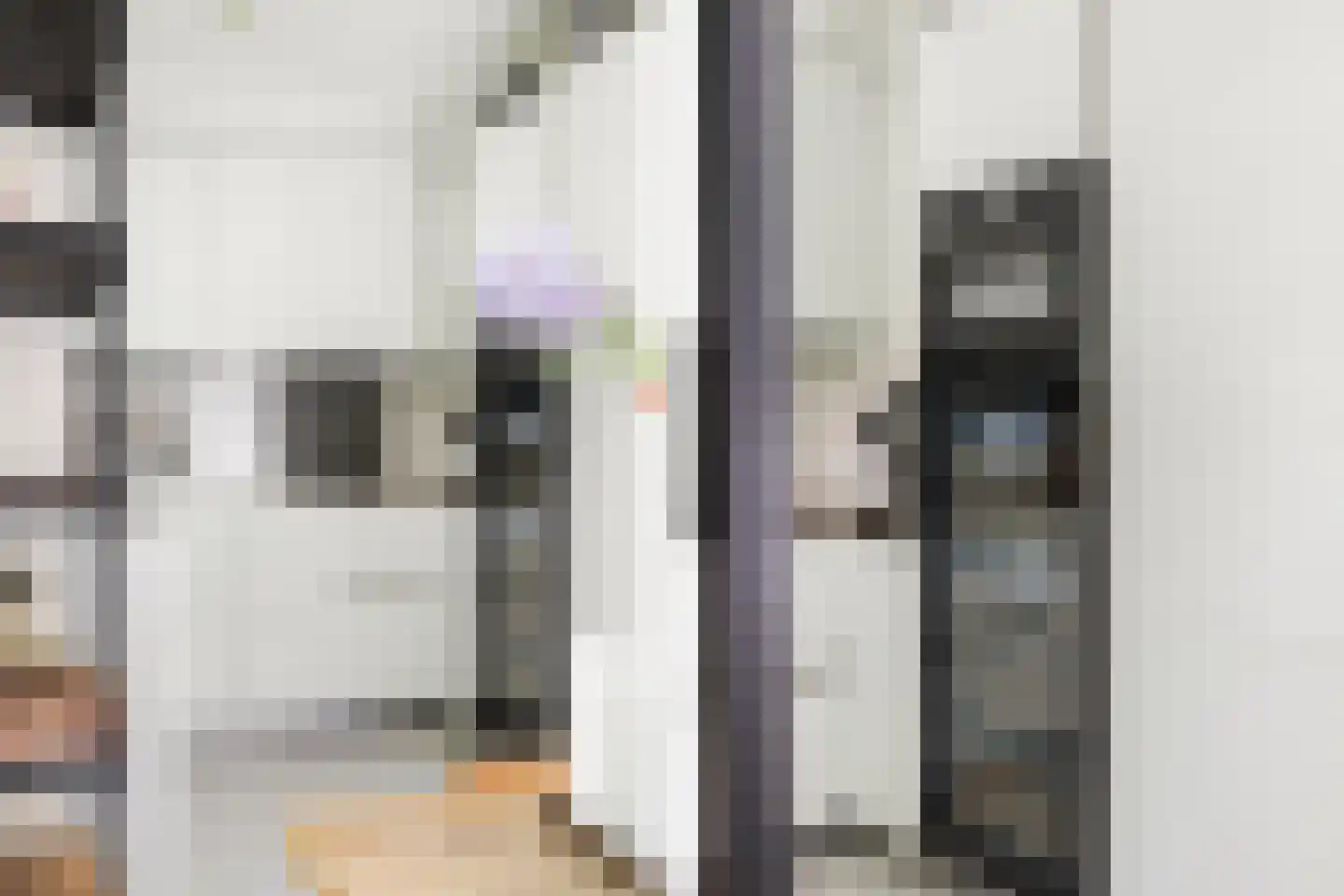 Korte Geuzenstraat 98 Amsterdam thumbnail 11