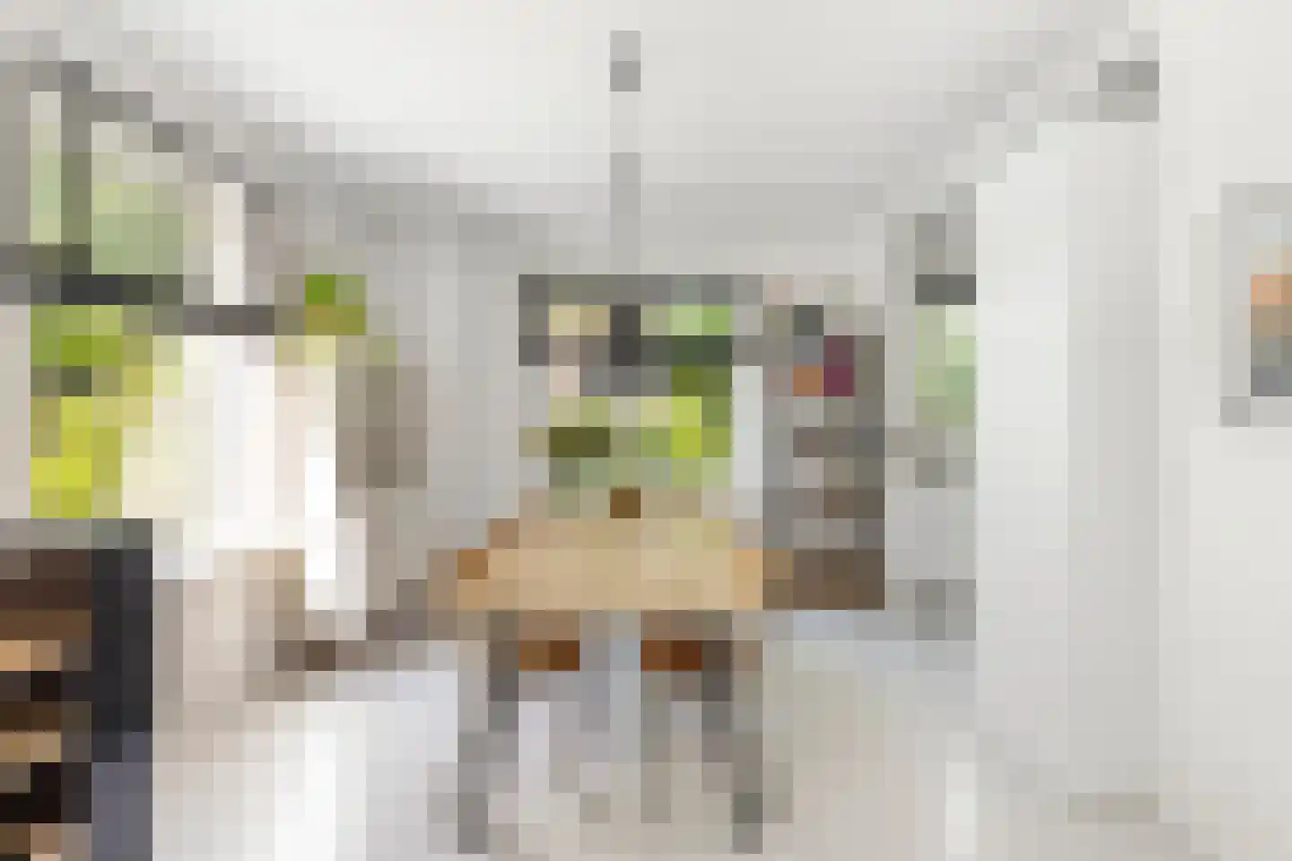 Korte Geuzenstraat 98 Amsterdam thumbnail 12
