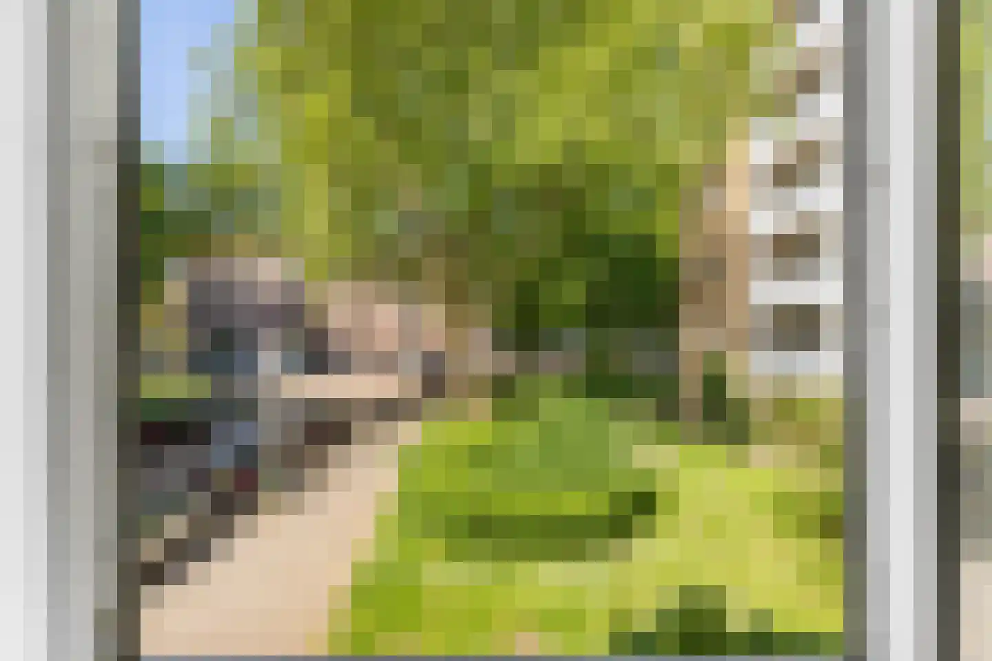 Korte Geuzenstraat 98 Amsterdam thumbnail 20