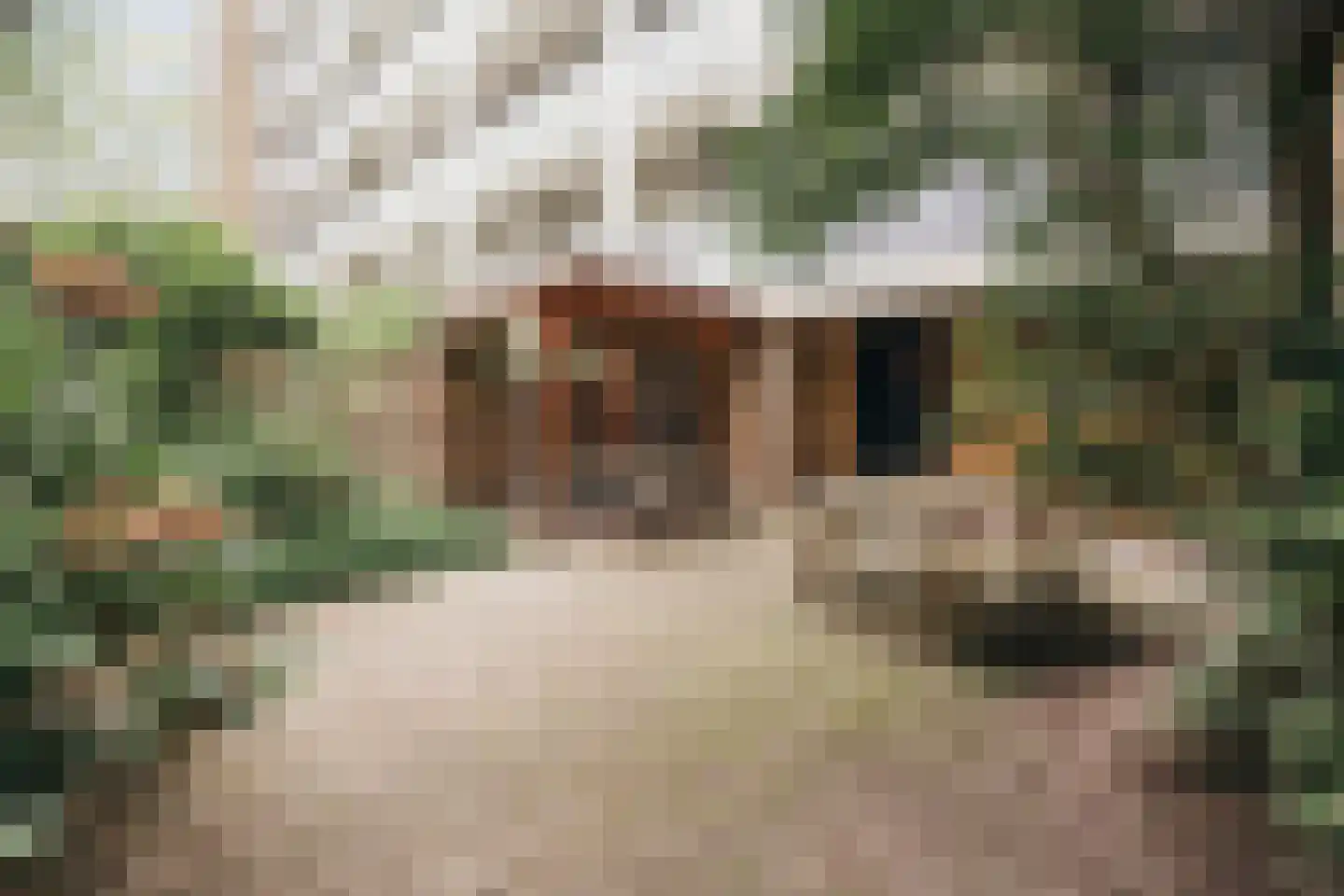 Korte Geuzenstraat 98 Amsterdam thumbnail 28