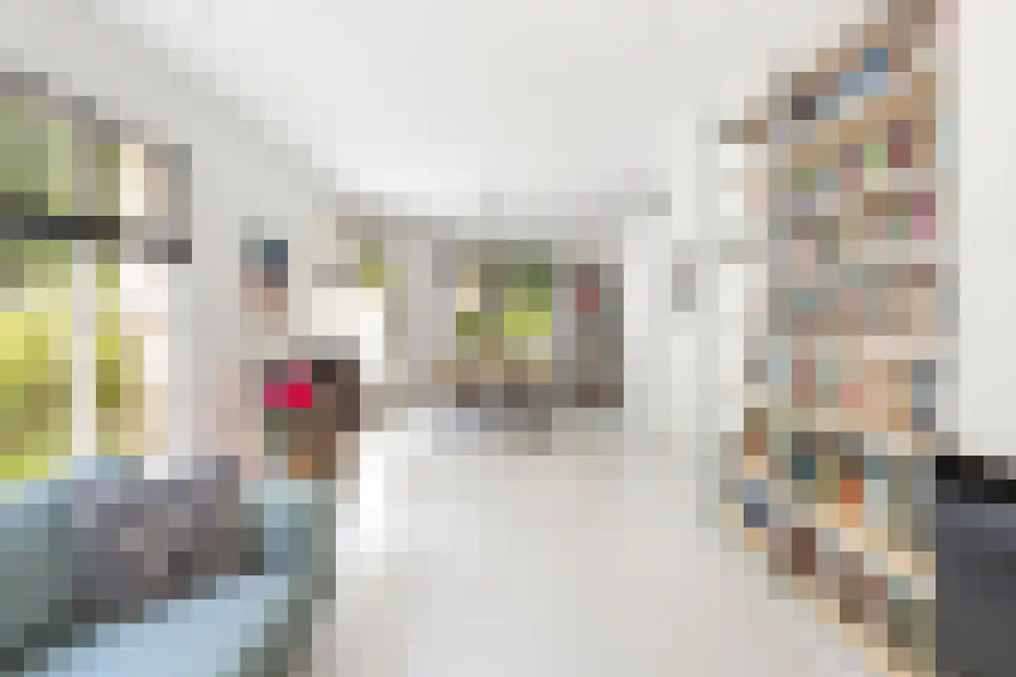 Korte Geuzenstraat 98 Amsterdam thumbnail 7