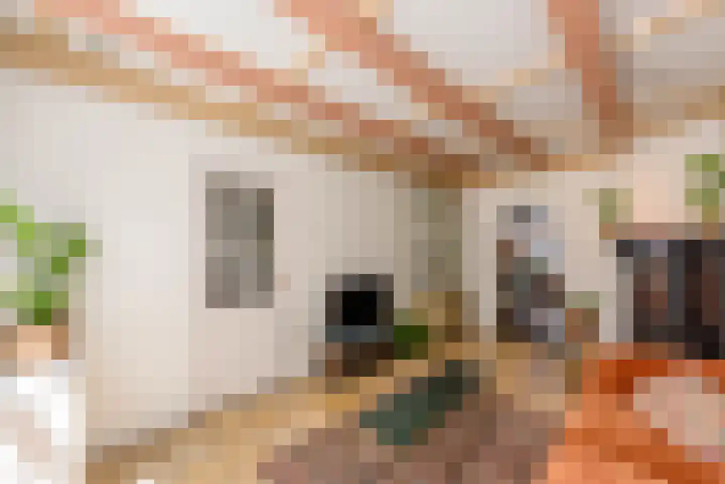 Korte Gierstraat 7 Haarlem thumbnail 10