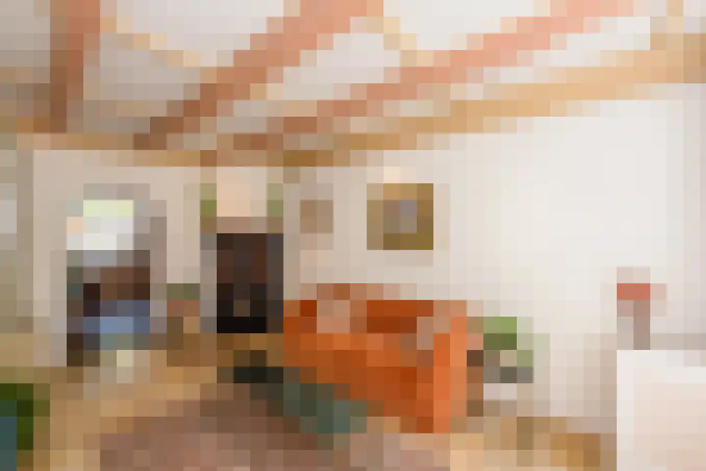 Korte Gierstraat 7 Haarlem thumbnail 11