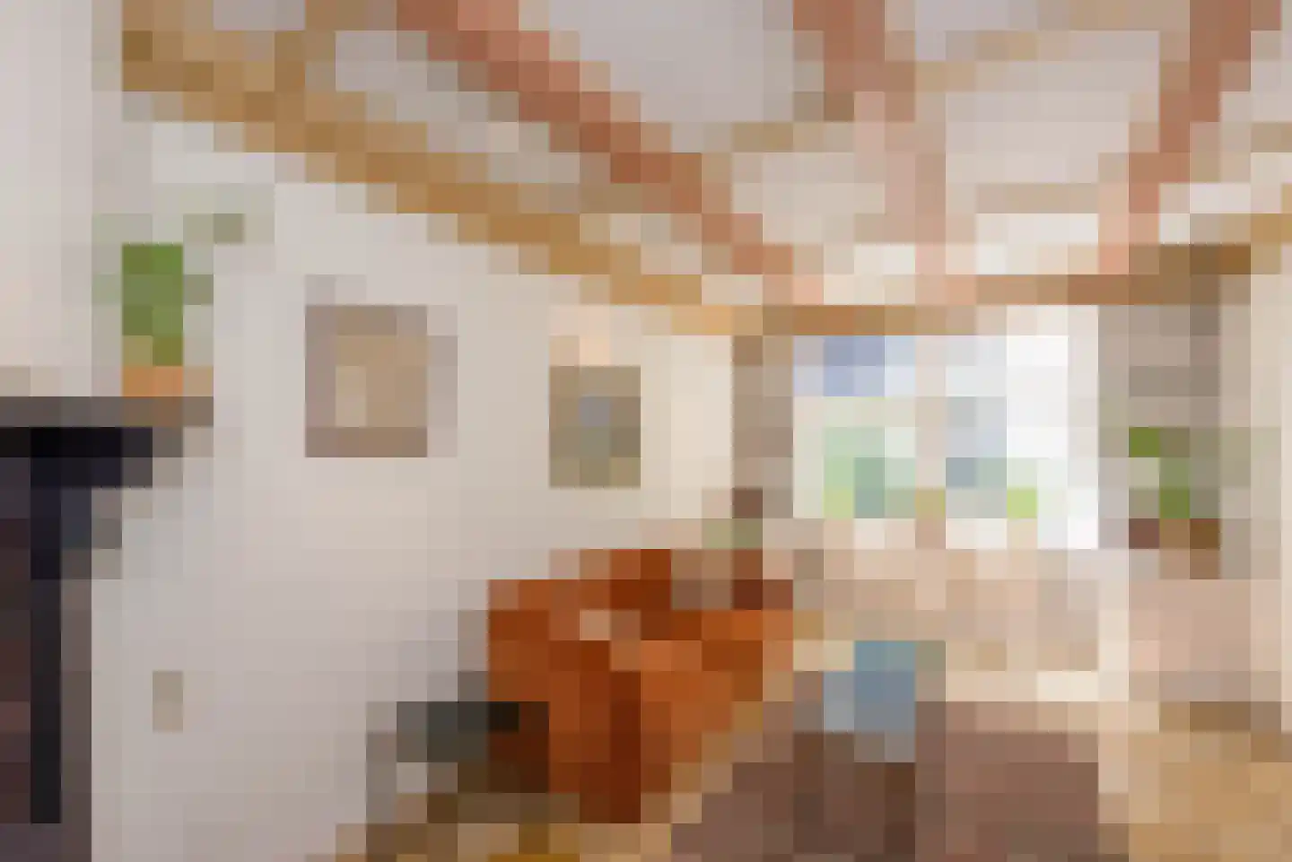 Korte Gierstraat 7 Haarlem thumbnail 8