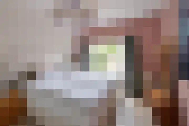 Korte Godelindestraat 11 Bussum thumbnail 10