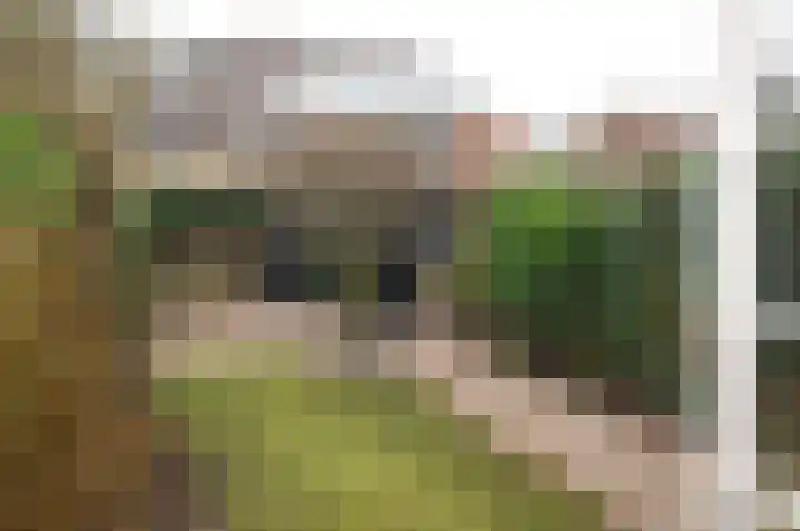 Korte Godelindestraat 19 Bussum thumbnail 14