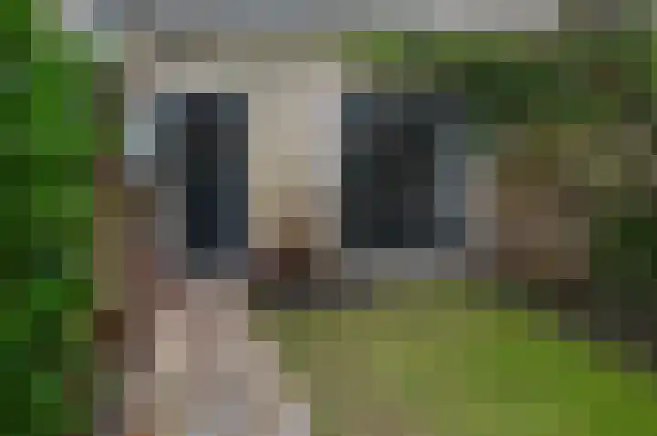 Korte Godelindestraat 19 Bussum thumbnail 16