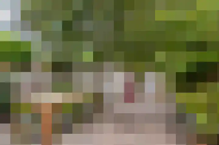Korte Godelindestraat 41 Bussum thumbnail 26