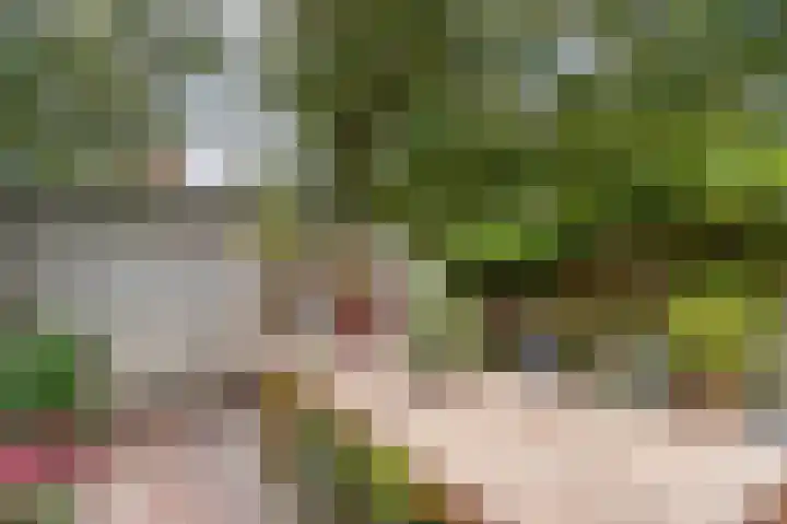 Korte Godelindestraat 41 Bussum thumbnail 27