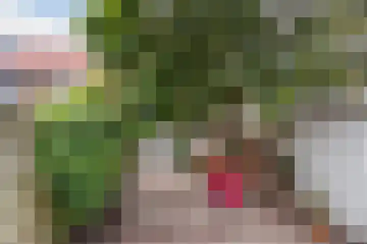 Korte Godelindestraat 41 Bussum thumbnail 29