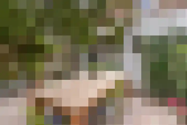 Korte Godelindestraat 41 Bussum thumbnail 30