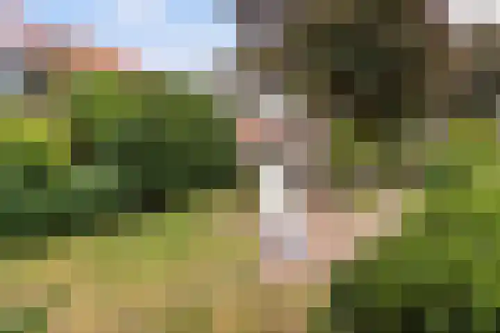 Korte Godelindestraat 41 Bussum thumbnail 32