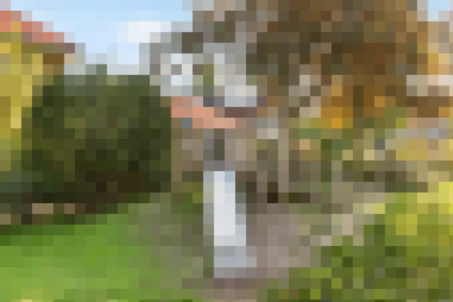 Korte Godelindestraat 43 Bussum thumbnail 37