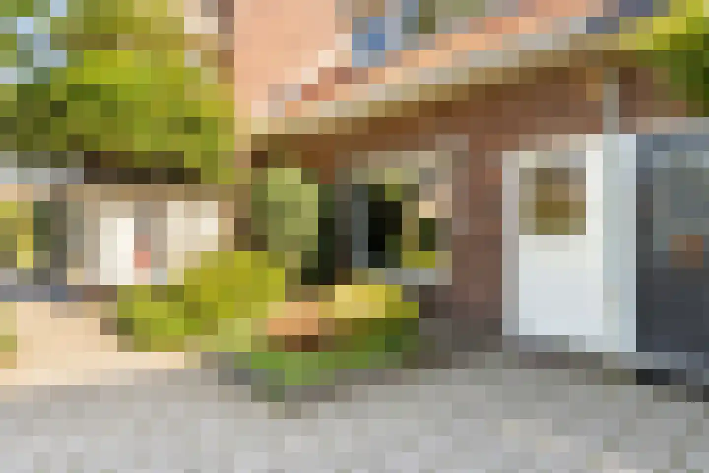 Korte Godelindestraat 43 Bussum thumbnail 4