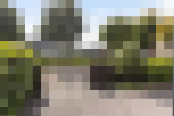Korte Grafte 9 Apeldoorn thumbnail 20