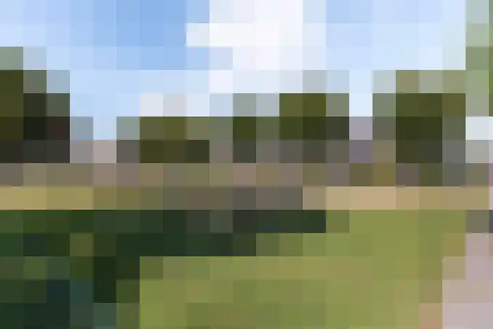 Korte Grafte 9 Apeldoorn thumbnail 32